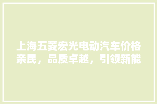 上海五菱宏光电动汽车价格亲民，品质卓越，引领新能源汽车新潮流