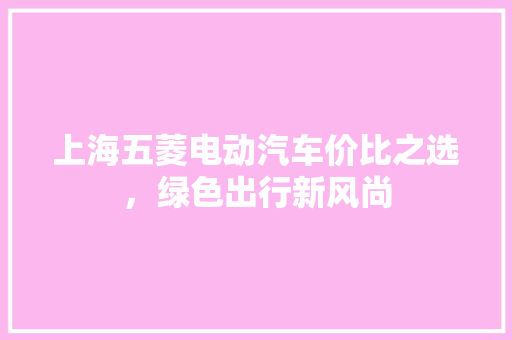 上海五菱电动汽车价比之选，绿色出行新风尚