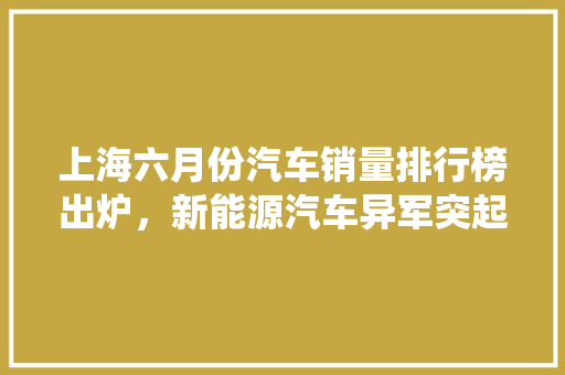 上海六月份汽车销量排行榜出炉，新能源汽车异军突起，传统燃油车面临挑战