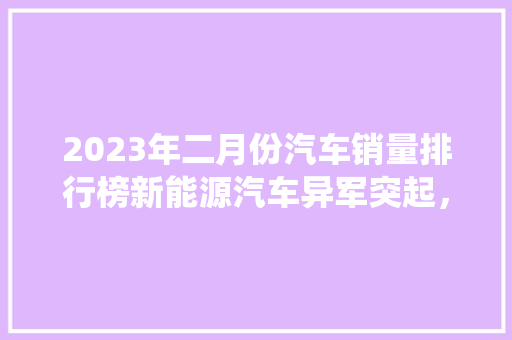 2023年二月份汽车销量排行榜新能源汽车异军突起，传统车企面临挑战