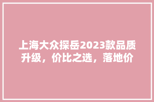 上海大众探岳2023款品质升级，价比之选，落地价