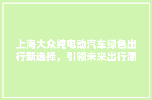 上海大众纯电动汽车绿色出行新选择，引领未来出行潮流