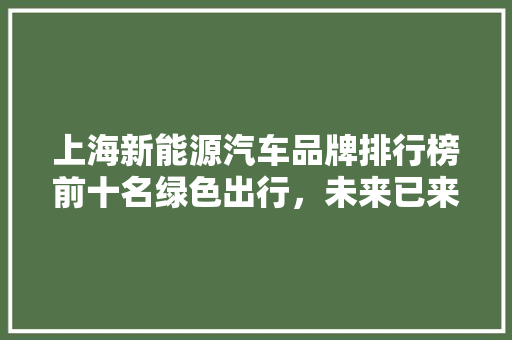 上海新能源汽车品牌排行榜前十名绿色出行，未来已来