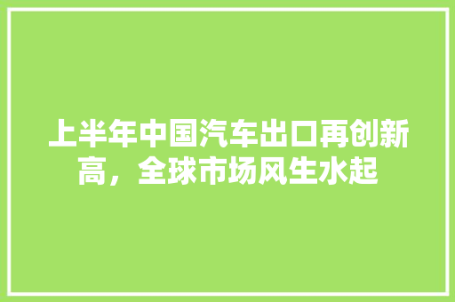 上半年中国汽车出口再创新高，全球市场风生水起