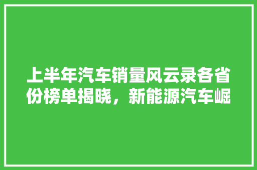 上半年汽车销量风云录各省份榜单揭晓，新能源汽车崛起成为新趋势