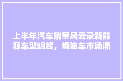 上半年汽车销量风云录新能源车型崛起，燃油车市场渐显疲态