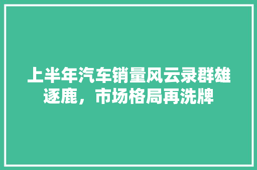上半年汽车销量风云录群雄逐鹿，市场格局再洗牌