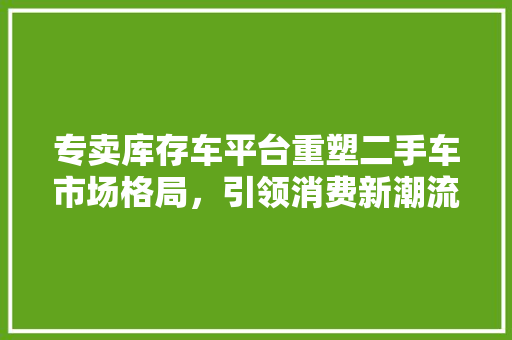 专卖库存车平台重塑二手车市场格局，引领消费新潮流