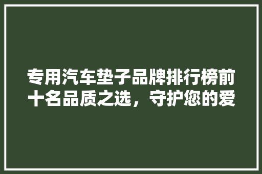 专用汽车垫子品牌排行榜前十名品质之选，守护您的爱车