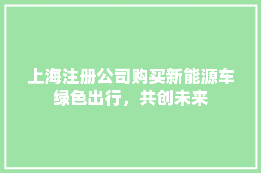 上海注册公司购买新能源车绿色出行，共创未来