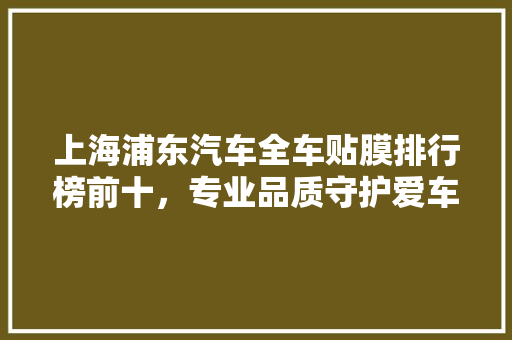 上海浦东汽车全车贴膜排行榜前十，专业品质守护爱车安全