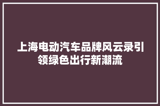 上海电动汽车品牌风云录引领绿色出行新潮流