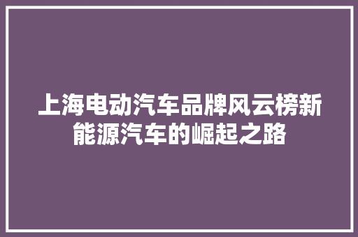 上海电动汽车品牌风云榜新能源汽车的崛起之路