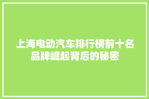 上海电动汽车排行榜前十名品牌崛起背后的秘密