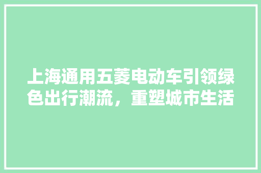 上海通用五菱电动车引领绿色出行潮流，重塑城市生活方式