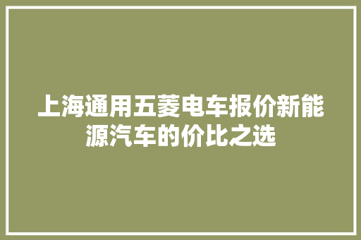 上海通用五菱电车报价新能源汽车的价比之选