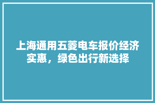 上海通用五菱电车报价经济实惠，绿色出行新选择
