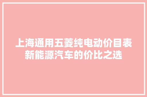 上海通用五菱纯电动价目表新能源汽车的价比之选