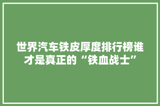 世界汽车铁皮厚度排行榜谁才是真正的“铁血战士”