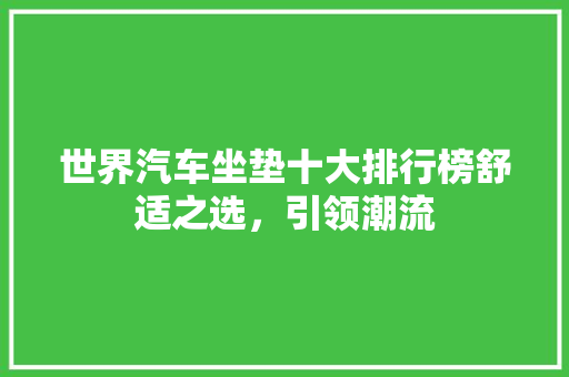世界汽车坐垫十大排行榜舒适之选，引领潮流