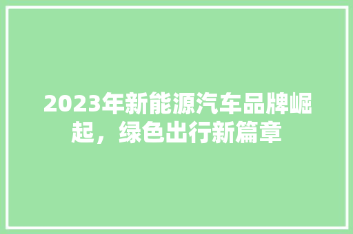 2023年新能源汽车品牌崛起，绿色出行新篇章