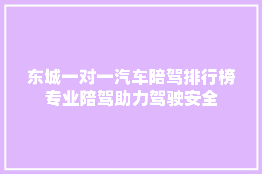 东城一对一汽车陪驾排行榜专业陪驾助力驾驶安全