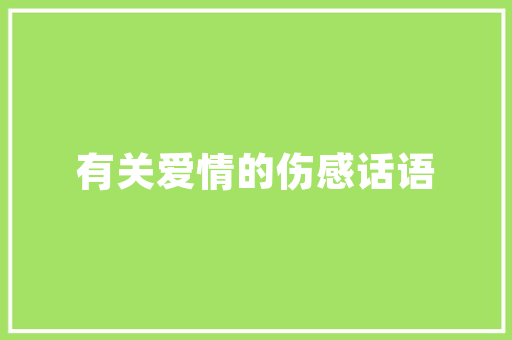 中华华晨H230H汽车工业的创新力量