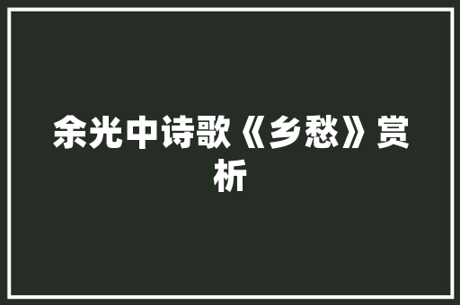 东风面包车新能源汽车绿色出行新选择，环保经济两不误