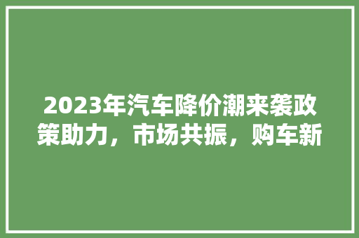 2023年汽车降价潮来袭政策助力，市场共振，购车新机遇