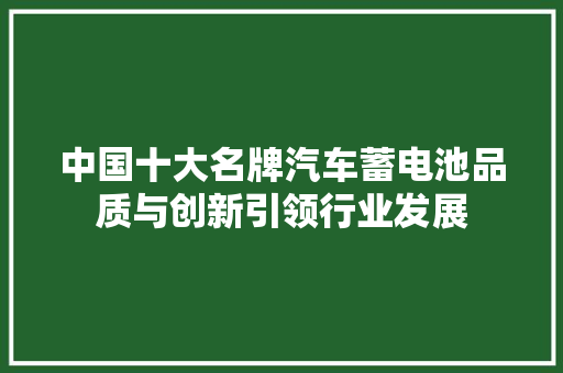 中国十大名牌汽车蓄电池品质与创新引领行业发展