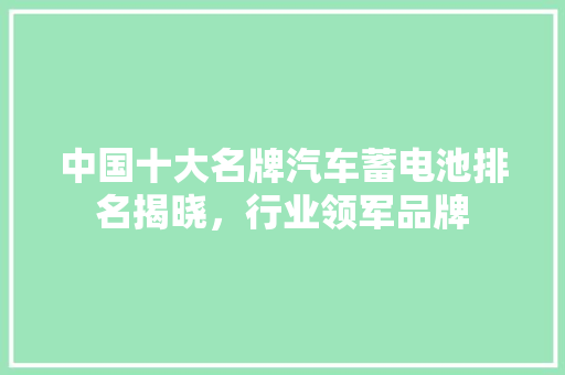 中国十大名牌汽车蓄电池排名揭晓，行业领军品牌
