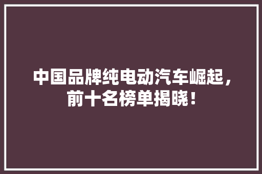 中国品牌纯电动汽车崛起，前十名榜单揭晓！