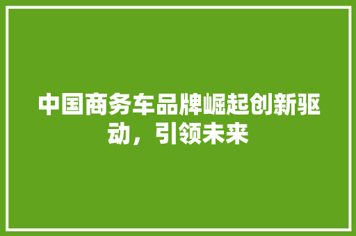 中国商务车品牌崛起创新驱动，引领未来