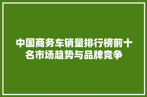 中国商务车销量排行榜前十名市场趋势与品牌竞争