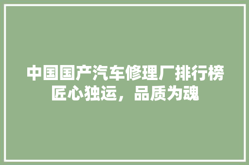 中国国产汽车修理厂排行榜匠心独运，品质为魂