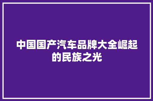 中国国产汽车品牌大全崛起的民族之光