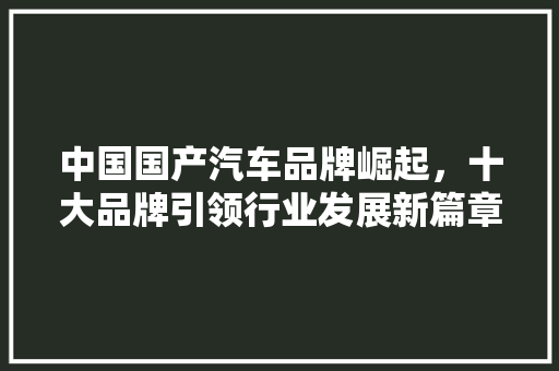 中国国产汽车品牌崛起，十大品牌引领行业发展新篇章