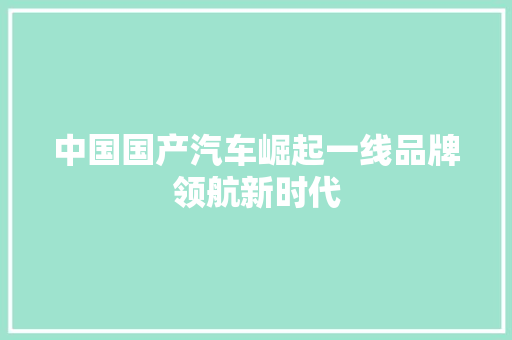 中国国产汽车崛起一线品牌领航新时代