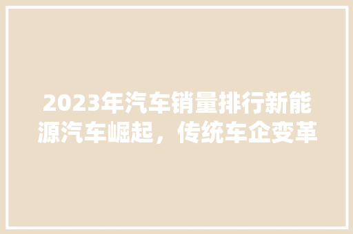 2023年汽车销量排行新能源汽车崛起，传统车企变革之路