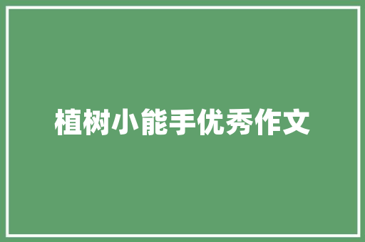 中国二手车市场风云再起，百强排行榜揭晓行业新格局