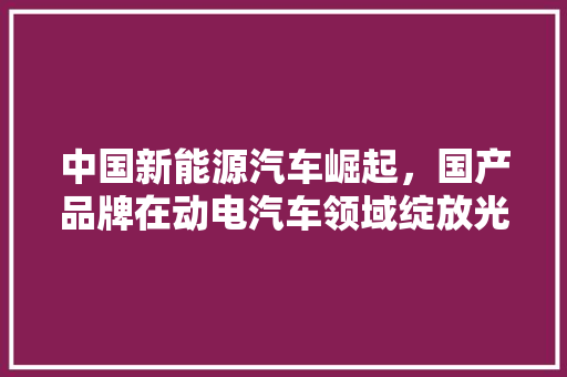 中国新能源汽车崛起，国产品牌在动电汽车领域绽放光芒