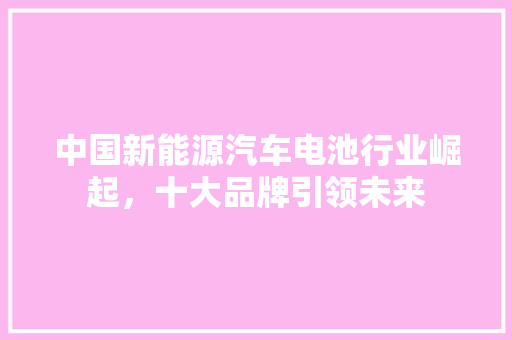 中国新能源汽车电池行业崛起，十大品牌引领未来