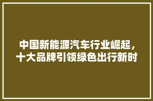 中国新能源汽车行业崛起，十大品牌引领绿色出行新时代
