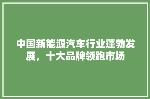 中国新能源汽车行业蓬勃发展，十大品牌领跑市场
