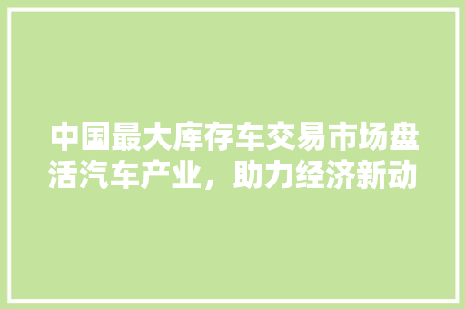 中国最大库存车交易市场盘活汽车产业，助力经济新动能