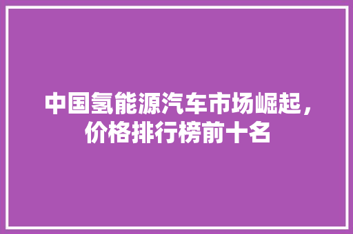 中国氢能源汽车市场崛起，价格排行榜前十名