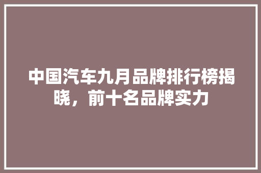 中国汽车九月品牌排行榜揭晓，前十名品牌实力