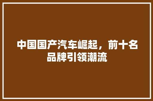 中国国产汽车崛起，前十名品牌引领潮流