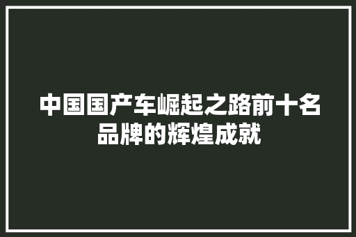 中国国产车崛起之路前十名品牌的辉煌成就