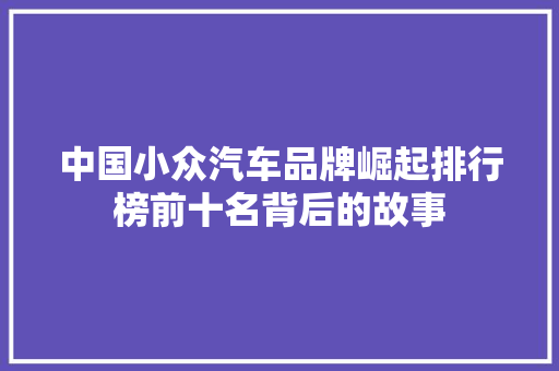 中国小众汽车品牌崛起排行榜前十名背后的故事